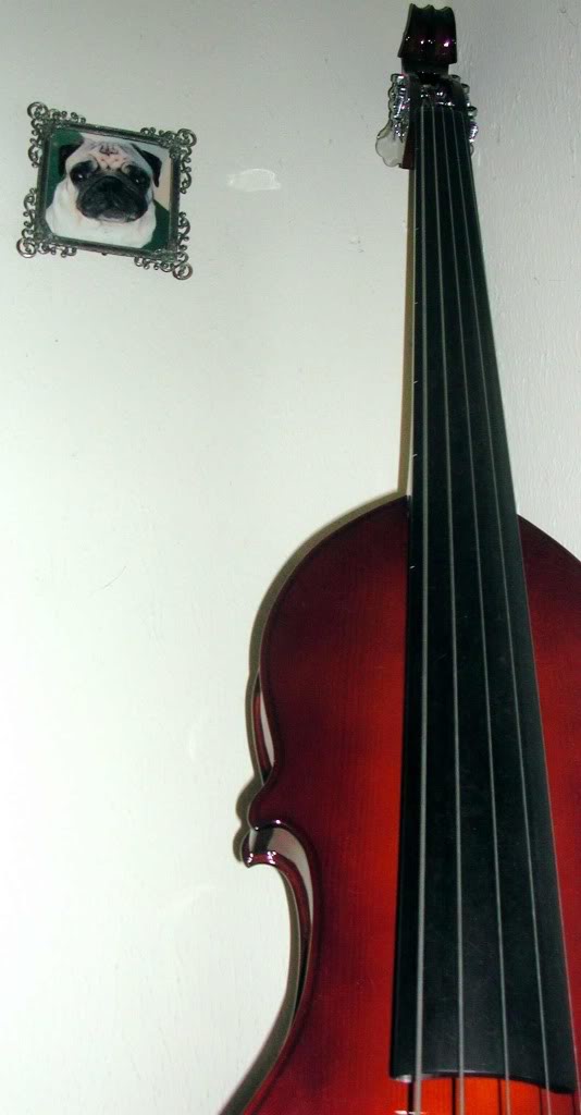 EminenceEUB5.jpg