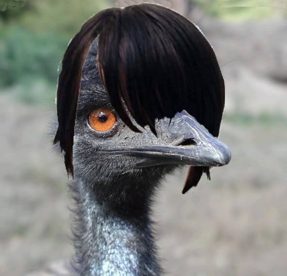 EmoEmu.jpg