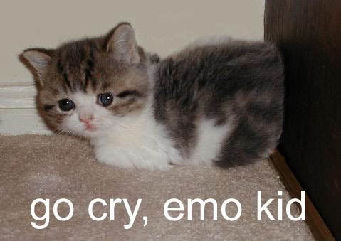 emokid.jpg