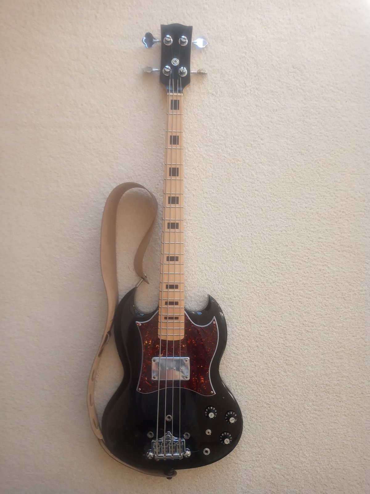 Epi EB Custom.jpg