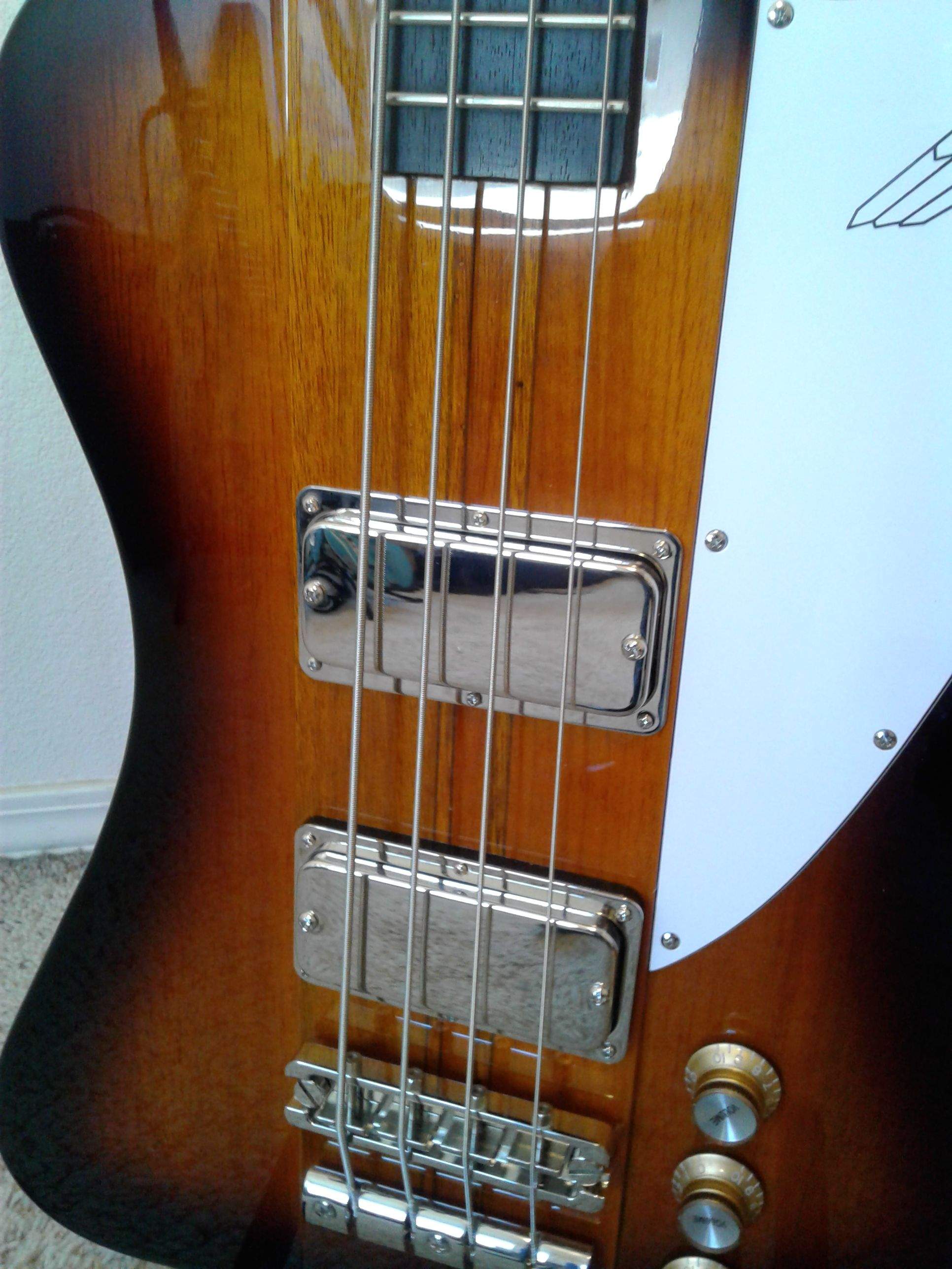 EPI TBIRD1.jpg