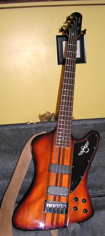 epibird.jpg