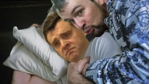 Ericatozpillows.jpg