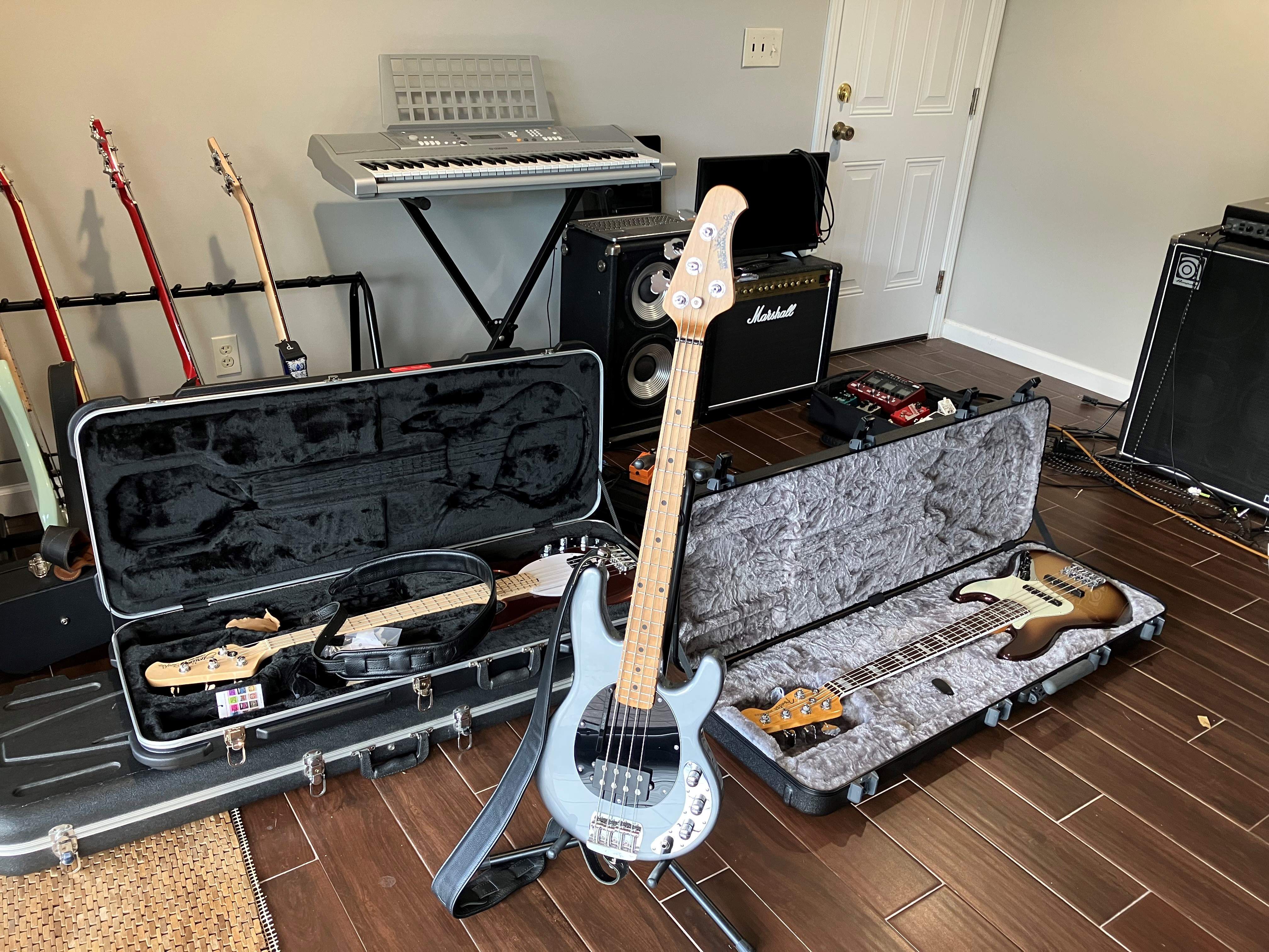 Ernie Ball New.jpg