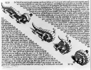 Escher,_Curl-up.jpg