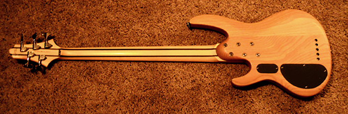 ESP-Back.jpg