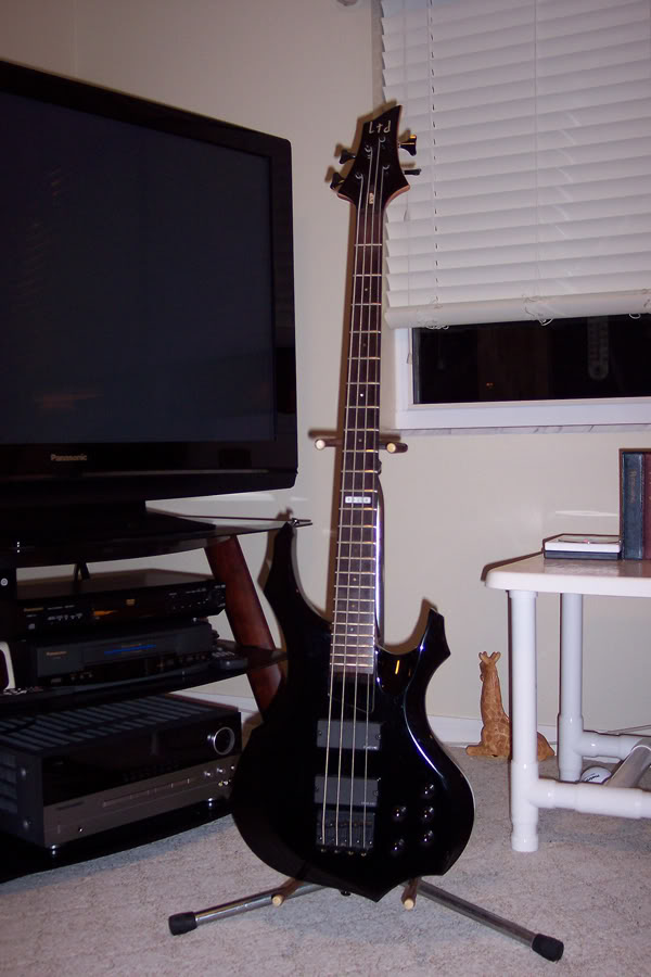 esp-ft.jpg