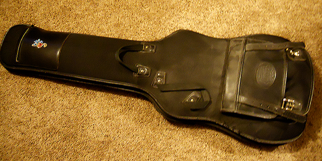 ESP-gigbag.jpg