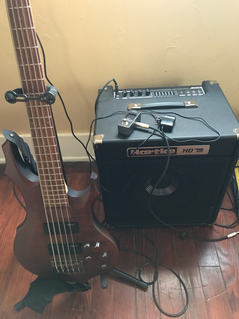 ESP LTD 2.jpg