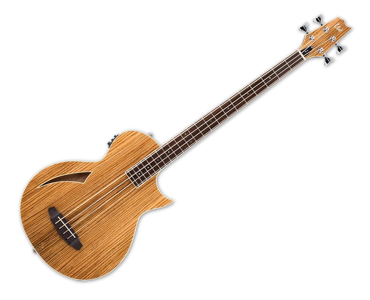 esp-ltl4z-nat.jpg