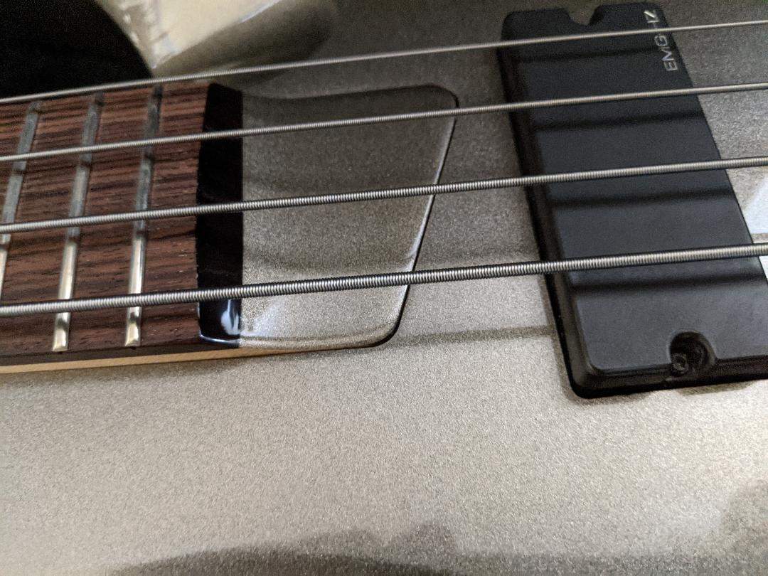 ESP Titanium Pickup.jpg