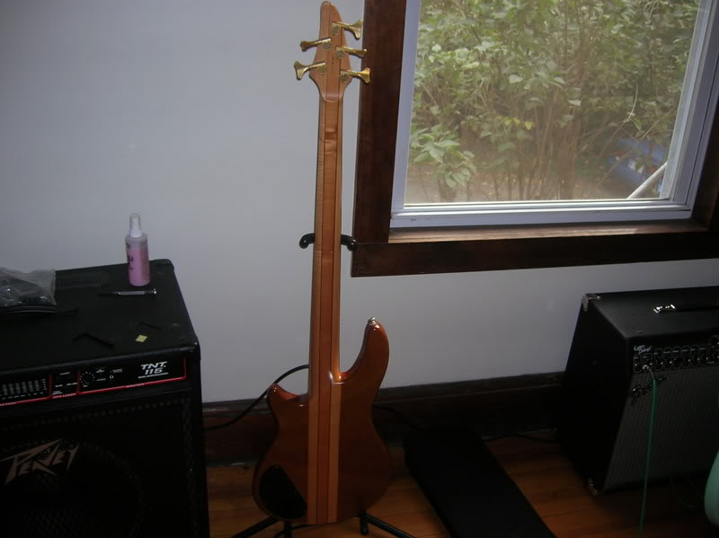 ESP4.jpg
