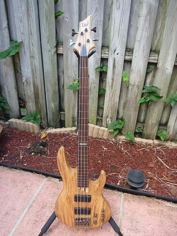 esp_08.jpg