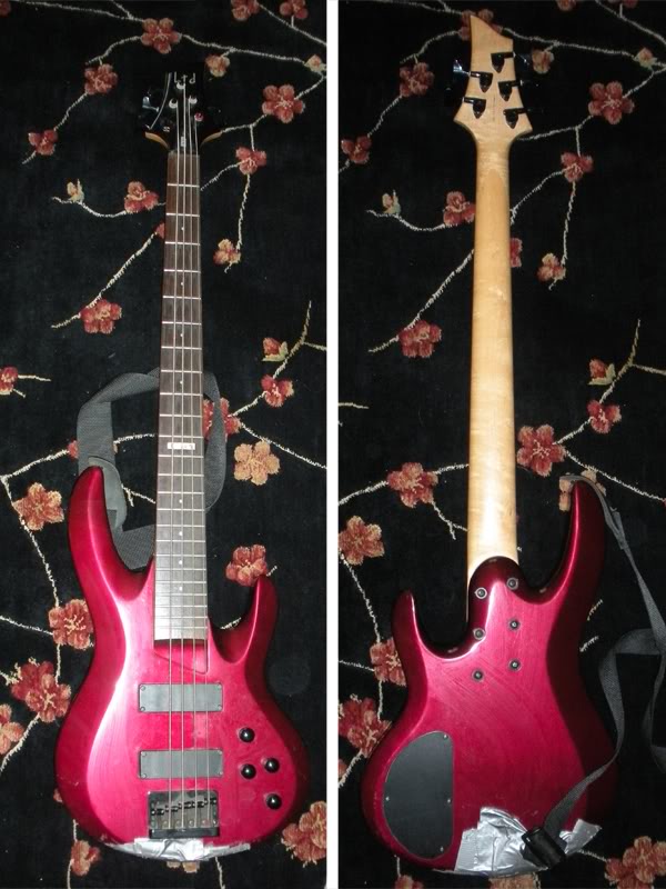 esp_bass_before.jpg