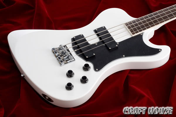 esp_esp-dtr290_5.jpg