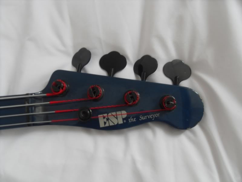 ESPBlue6.jpg