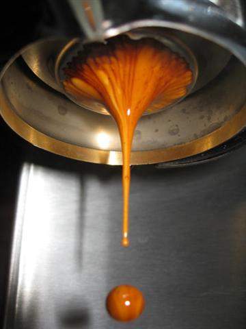 ess3.JPG