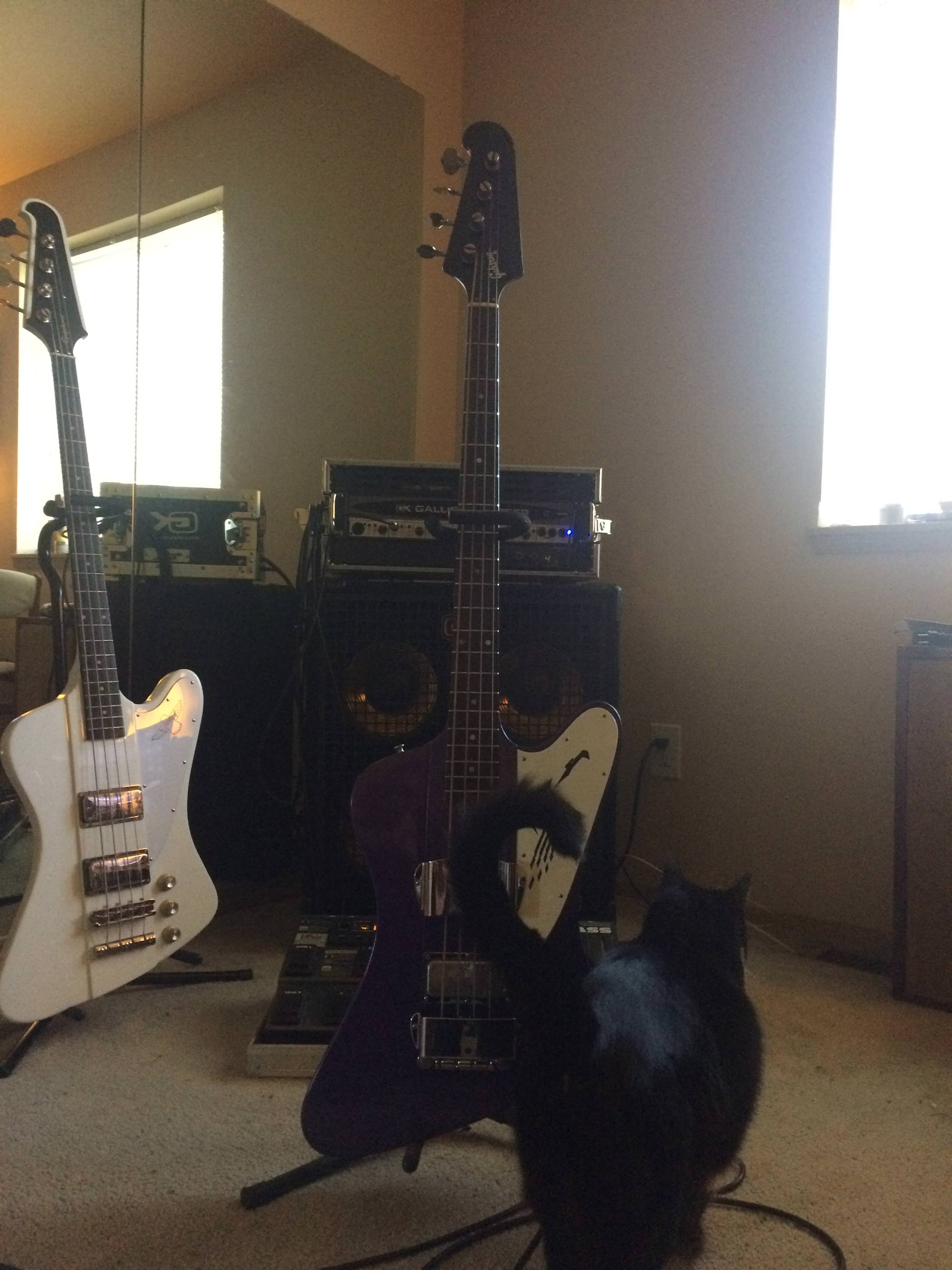 etpwqjL.jpg