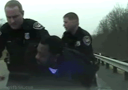 evidence.gif