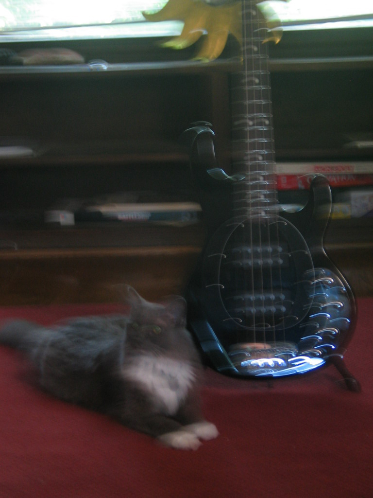 Ewok_blurry.jpg