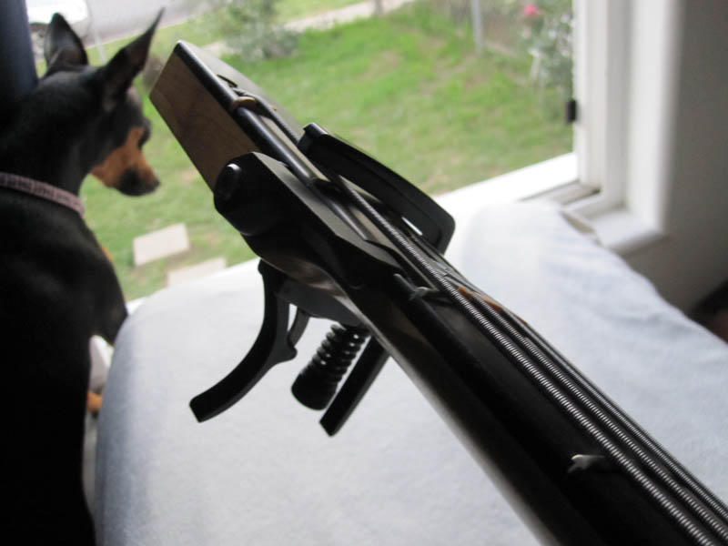 ex-factor_w_capo_1.jpg