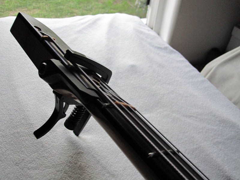 ex-factor_w_capo_2.jpg