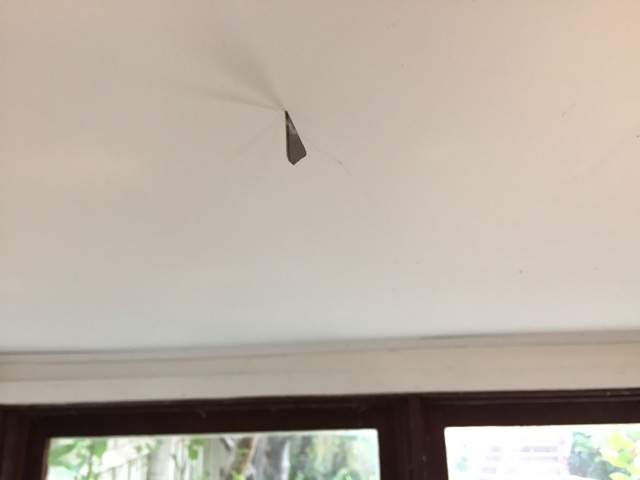 exacto_ceiling_small.jpg