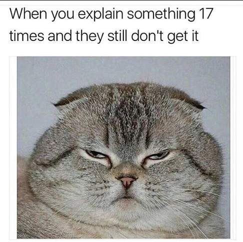 explain  cat.jpg