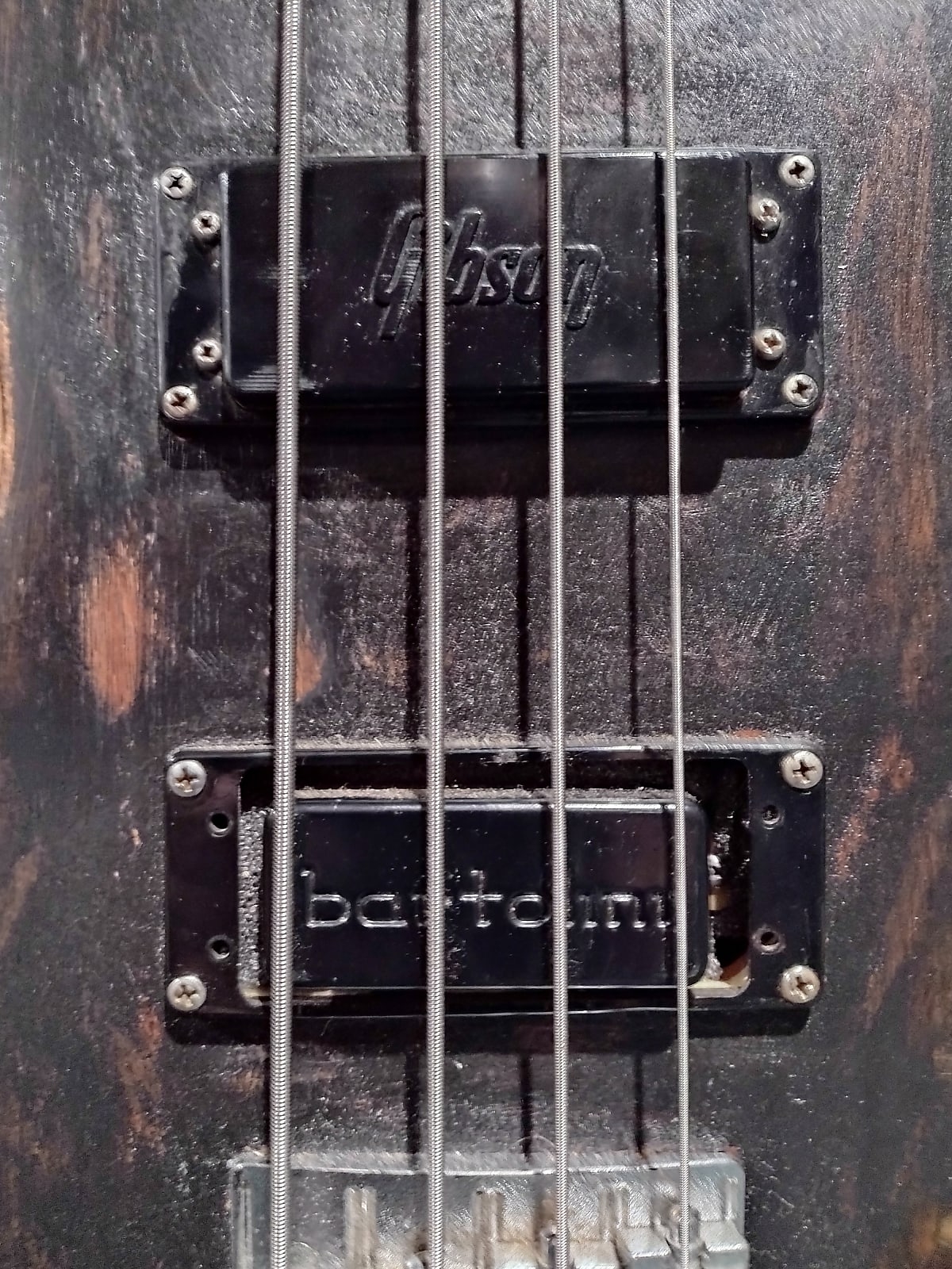 Explorer Bass Pickups.jpeg