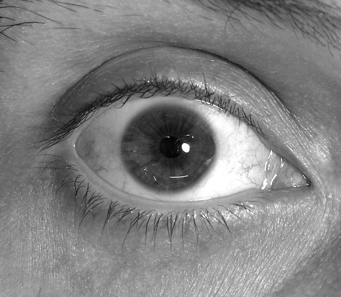 Eye_98.jpg
