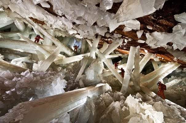 F008791F-E786-42F7-8D89-415D6F7CFF52.jpeg