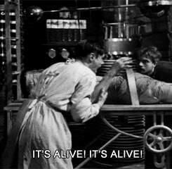 F1177F2A-BBF1-49A4-B9F0-D6F563B06C66.gif