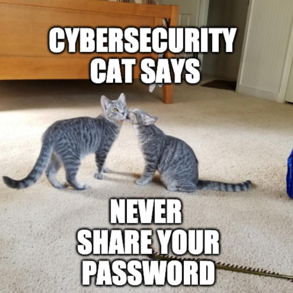 F175C99E-1465-4BC1-9761-50A928E79E37.jpeg