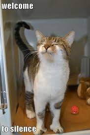 F1E35C5D-3479-490C-B8C3-CB9C2B3C9CE1.jpeg