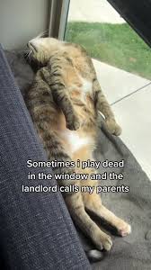 F1FAFAD6-F962-4F49-B624-C4BFD51B03DB.jpeg