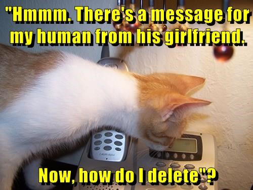 F24F38FE-2CCA-437F-AF64-2038F89AA37D.jpeg