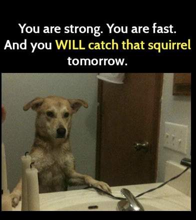 F2C8E04B-C52B-45B0-9680-2E809D636532.jpeg