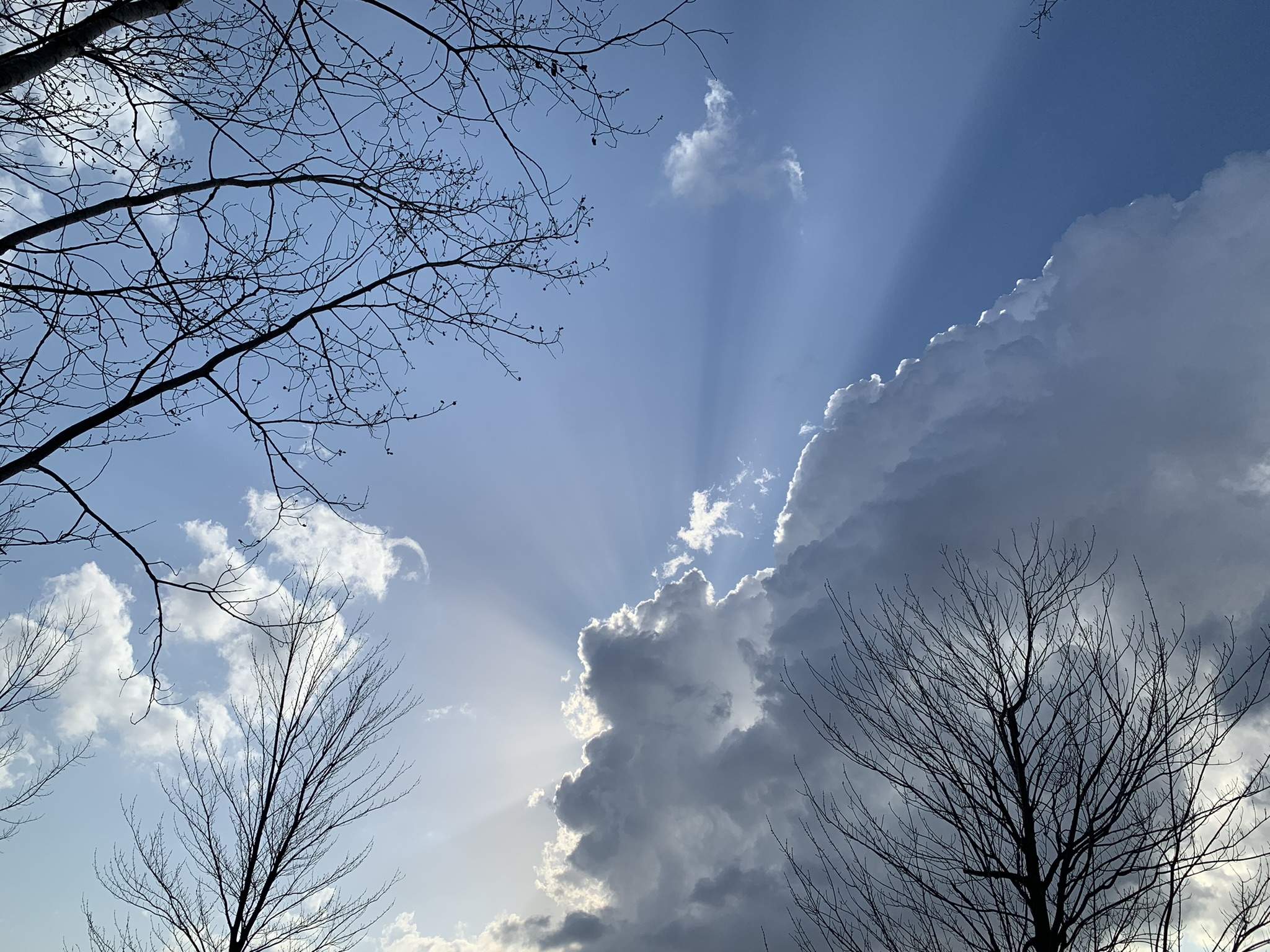F3407D65-37FB-49B0-9928-523B80F66C66.jpeg