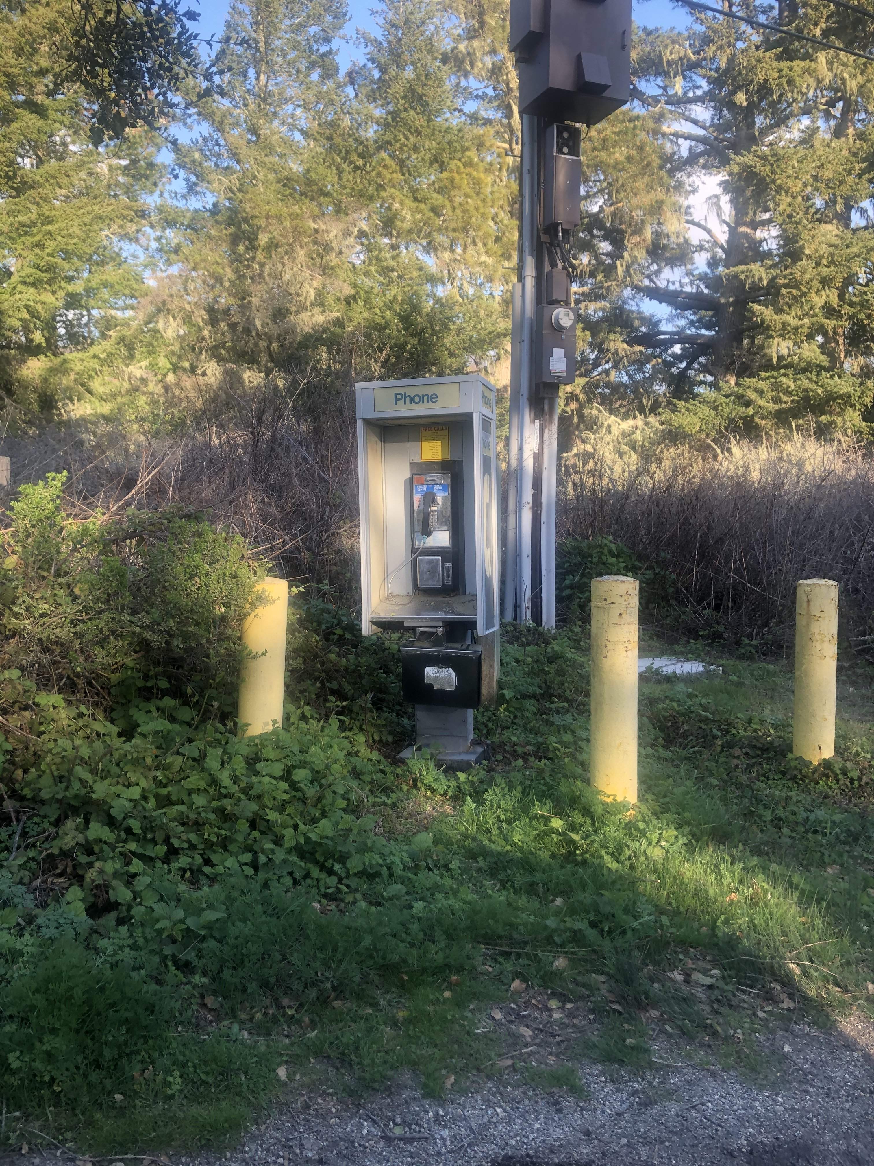 F36395E9-6613-45E1-9DC5-4FF99BCEF44A.jpeg