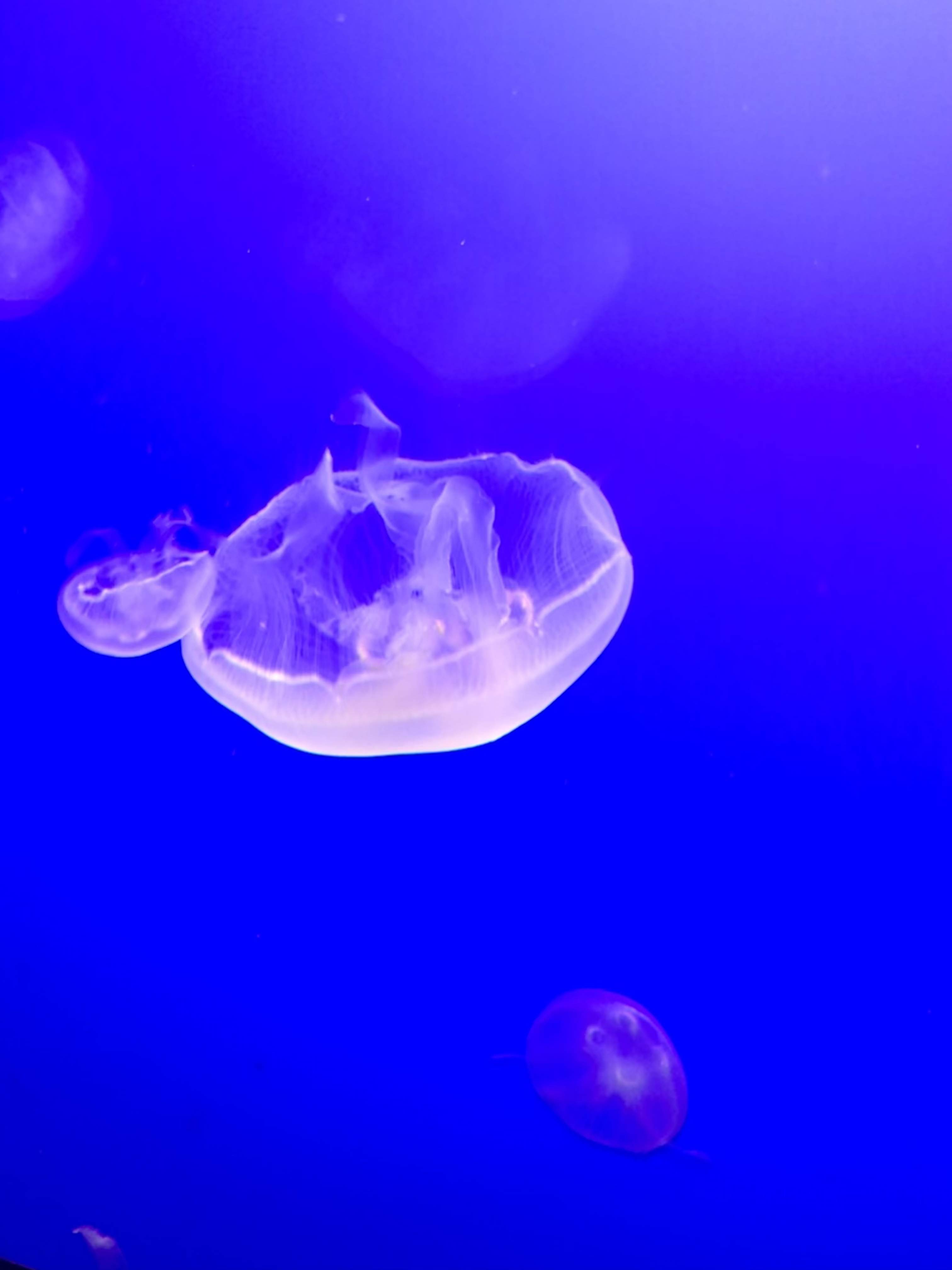 F3818571-C63F-491D-ADB1-97C87D12C49C.jpeg