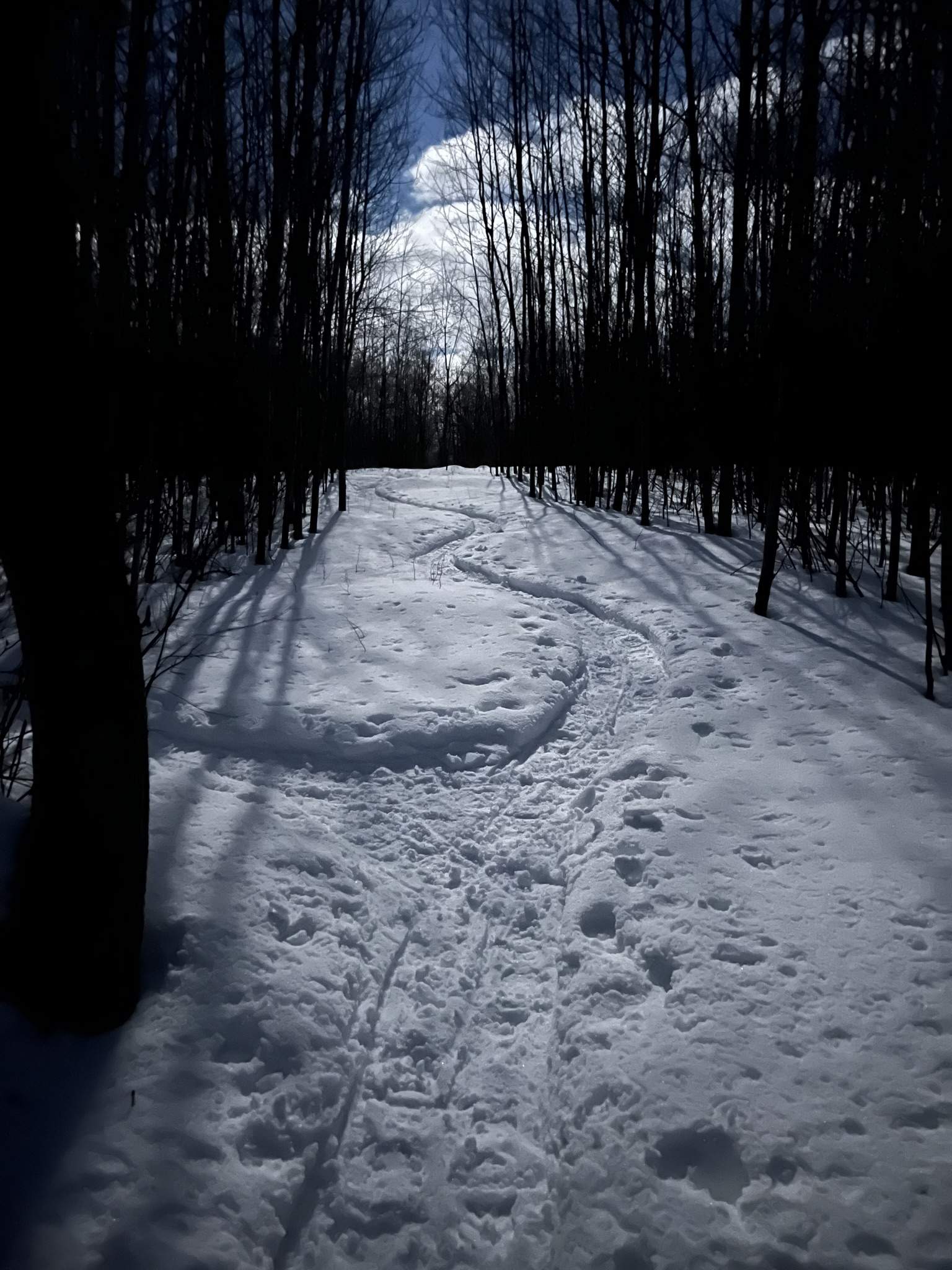 F3A76C48-D96C-4894-836F-0977B33D5D90.jpeg