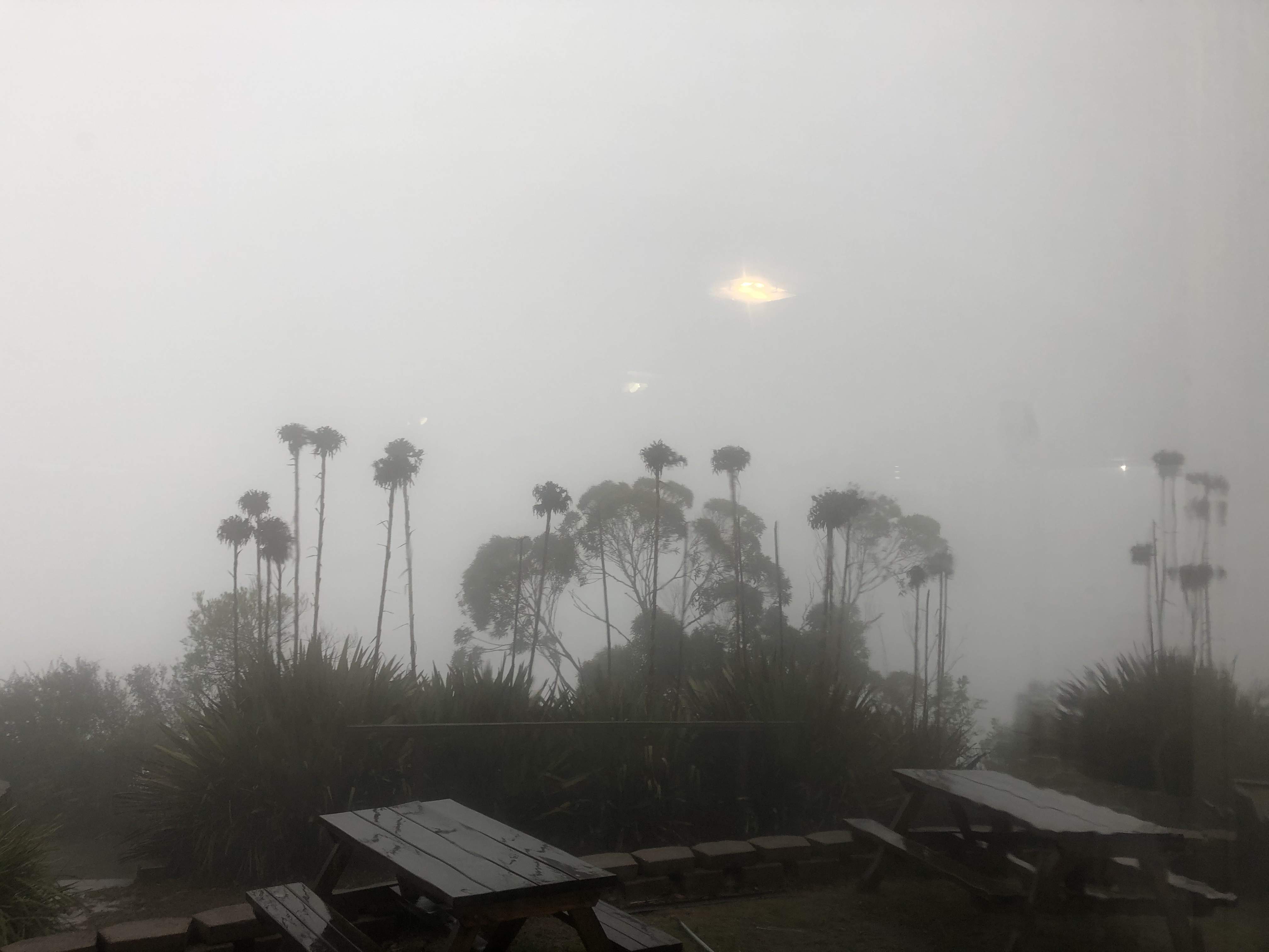 F3D20C0E-25C3-448C-B60B-D0794916CD96.jpeg