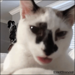 F3ziLWR.gif