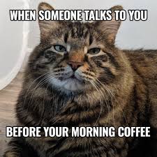 F4C6A534-CAFB-4FC8-AD36-6B212C4D65E1.jpeg