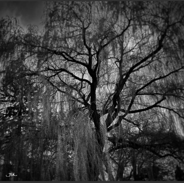 F5511EA6-B1CC-4882-ABEB-5130F9CB99F3.jpeg