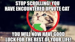 F6A6281F-7308-44B4-8968-B0A817F4E966.jpeg