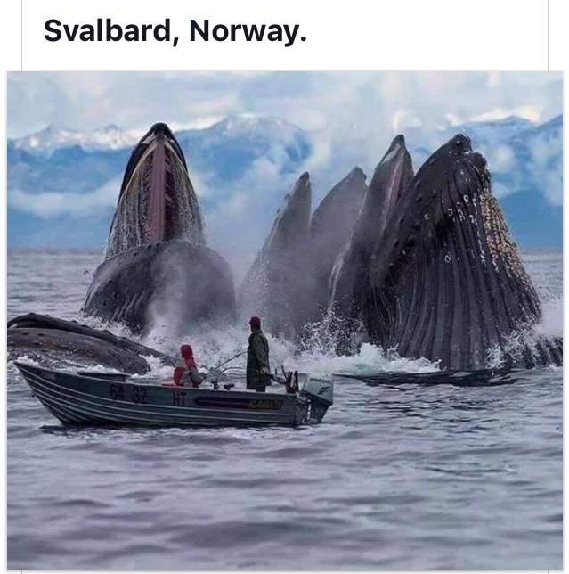 F9645B64-2527-4079-B815-55529F4C67FE.jpeg
