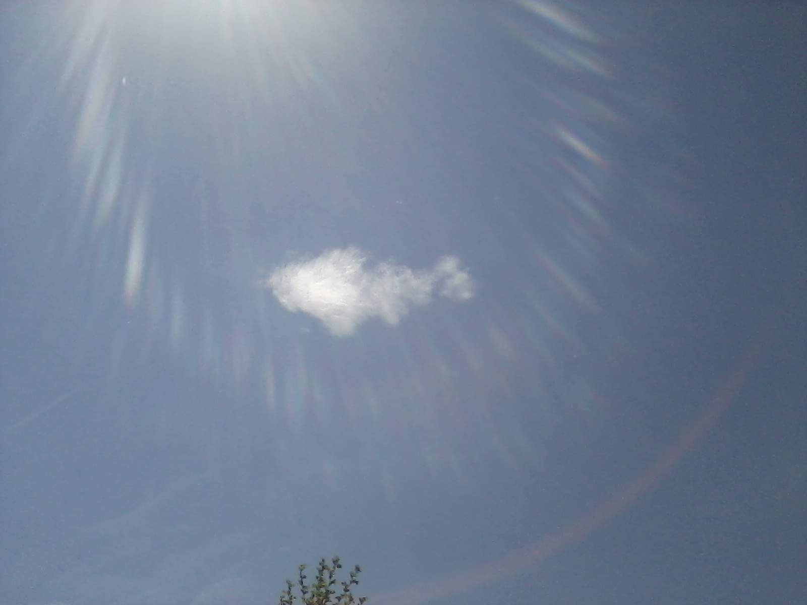 F9F0FD55-E1D5-482E-B7E2-81BF57DF4317.jpeg