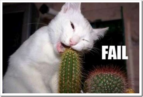 fail-cat[2].jpg