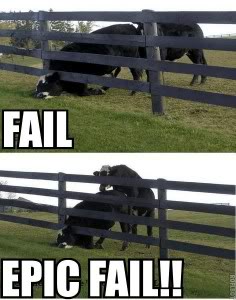 fail-epic-236x300.jpg